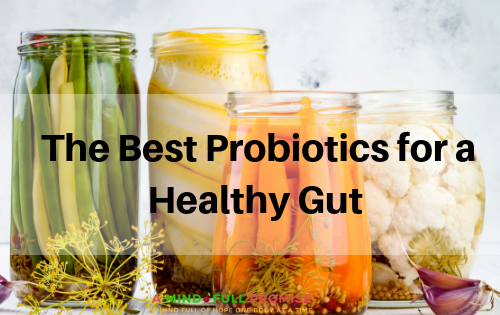 The Best Probiotics for a Healthy Gut