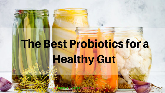 The Best Probiotics for a Healthy Gut